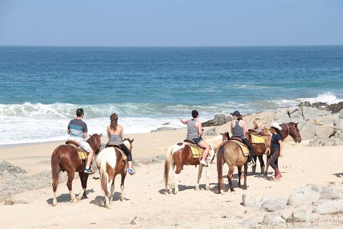 Beach & Desert Horseback Tour - Tour Highlights