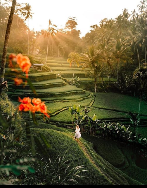 Best of Ubud Rice Terrace, Waterfall, Temple and Art Village - Tour Overview