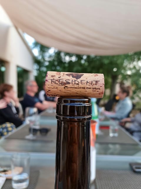 Binissalem: Individual Vineyard Tour and Wine Tasting - Tour Overview and Pricing