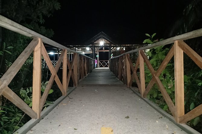 Bintan Fireflies Discovery Tour