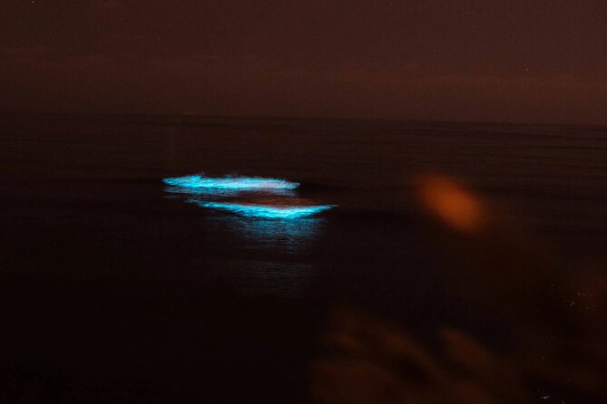 Bioluminecence Night Adventure in Tobago