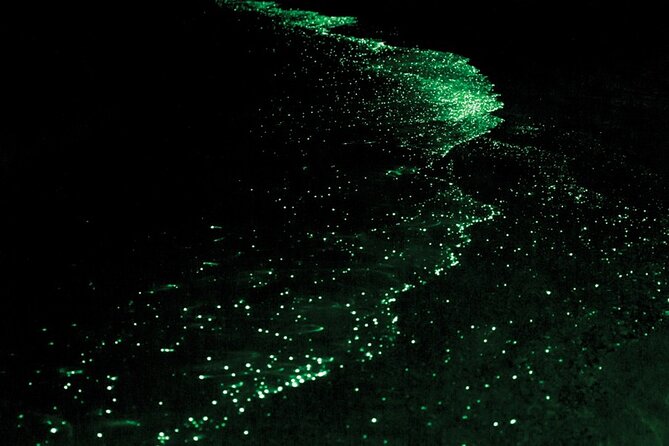 Bioluminescence and Sunset Kayak Tour Review - Overview of the Bioluminescence and Sunset Kayak Tour
