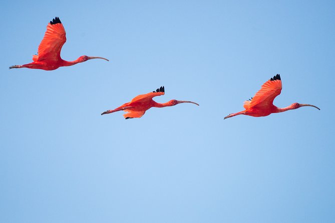 Birdwatching in Chundikulam National Park Review