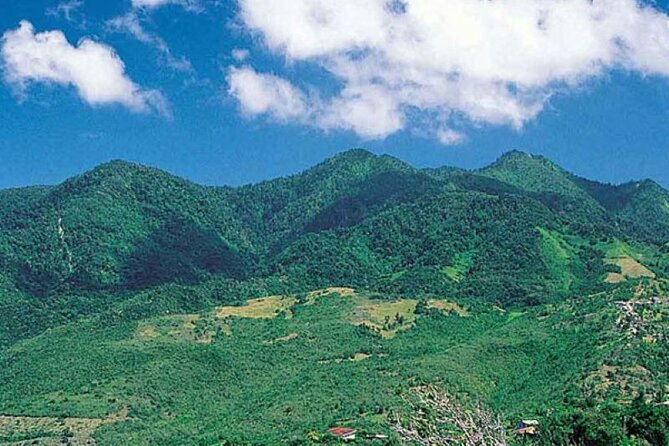 Blue Mountain Bicycle Tour From Runaway Bay