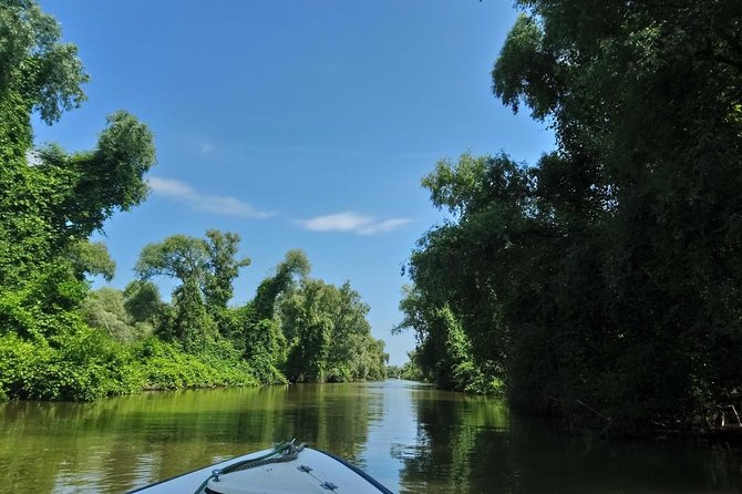 Boat Excursion in the Danube Delta, With Terrace and Closed Hall.