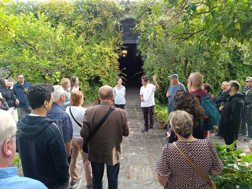 Bodega Halcón Winery Tour With Wine Tasting South of Seville