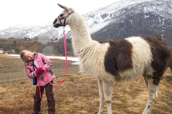 Bridger Teton Llama Treks