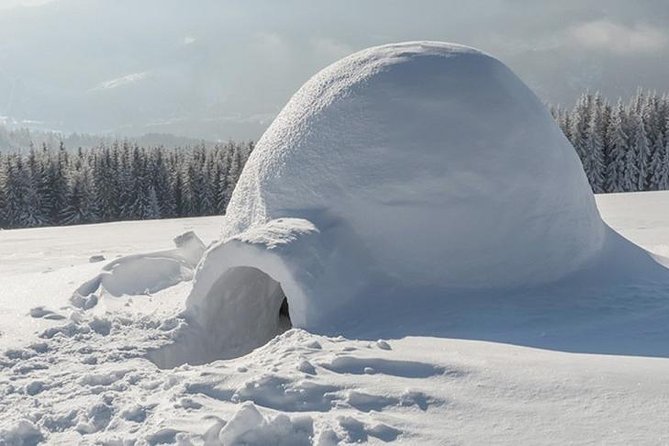 Building a Snow Igloo in Rovaniemi - Gathering the Necessary Supplies