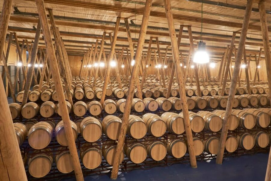 Burgos: Bela Winery – Villalba De Duero