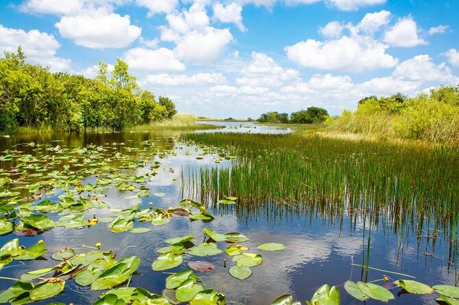 Bus From Miami to Everglades With Airboat Ride and a Free Picture