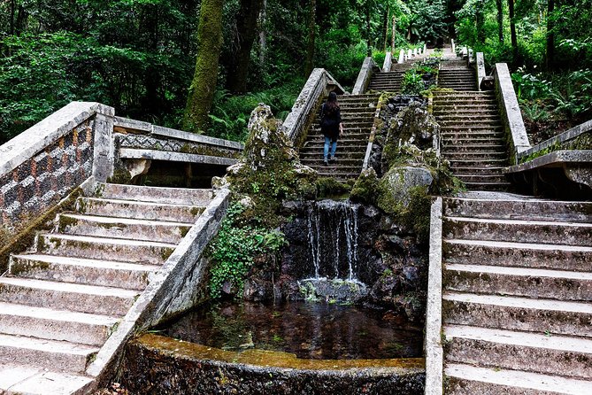 Bussaco Palace, Gardens & Forest