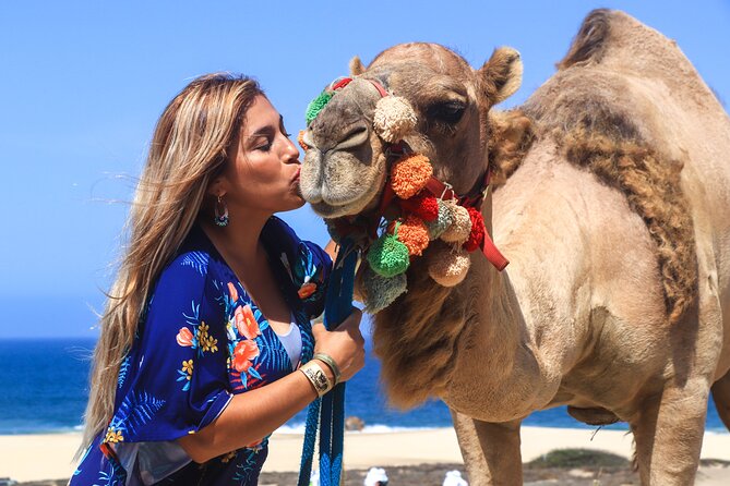 Cabo Camel Ride Experience