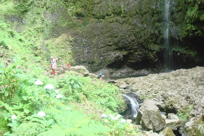 Caldeirão Verde