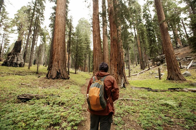 California Parks Highlights Tour: Los Angeles to San Francisco