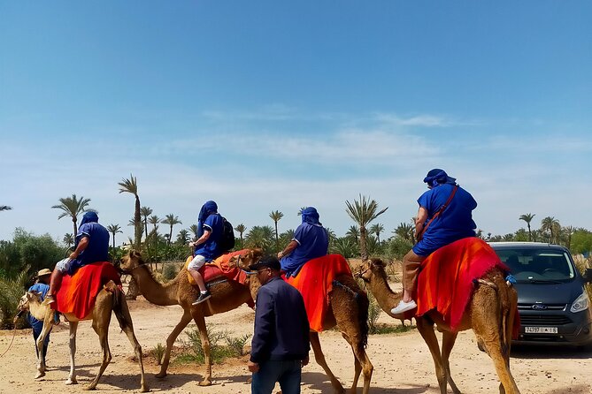 Camel Ride in Marrakeshs Palm Grove