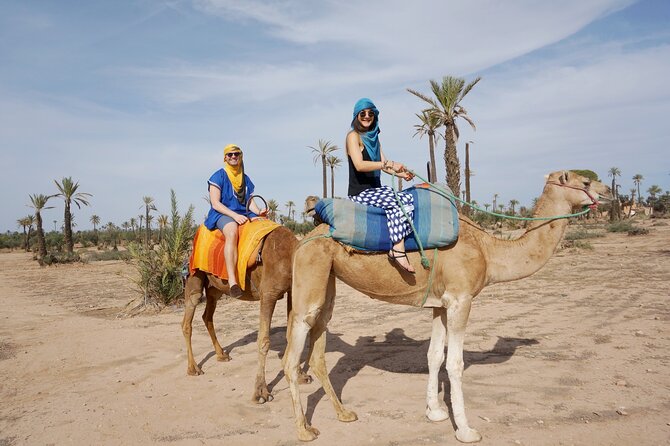 Camel Ride in the Palm Grove of Marrakech