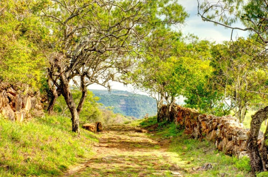 Camino Real From Barichara to Guane Day Tour - Tour Overview
