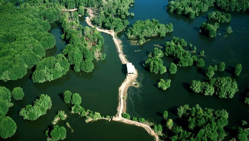 CAN GIO BISOPHERE RESERVE
