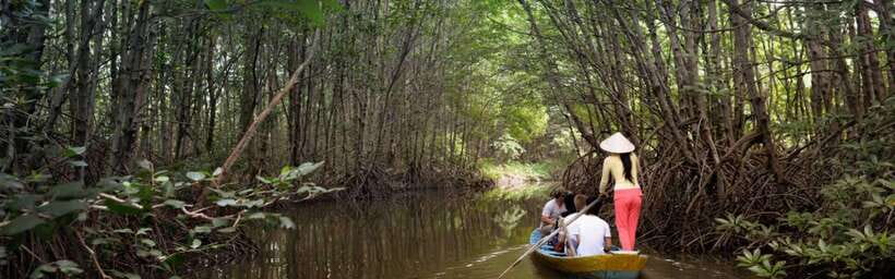 Can Gio Mangrove Forest and Monkey Island 1 Day