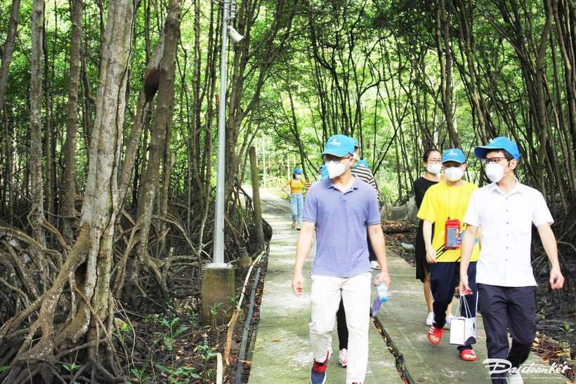 Can Gio Monkey Island Day Trip From HCMC