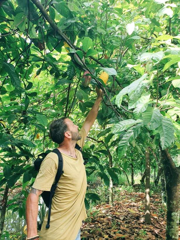 Can Tho: Countryside Cycling Tour With Cocoa Farm Visit - Tour Overview and Pricing