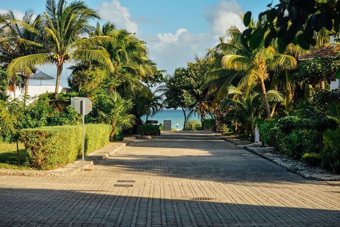 Cancun Cultural Odyssey: Discovering the Citys Fascinating Tale