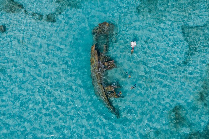 Cancun Snorkeling Tour: Swim With Turtles, Reef, Underwater Museum and Shipwreck