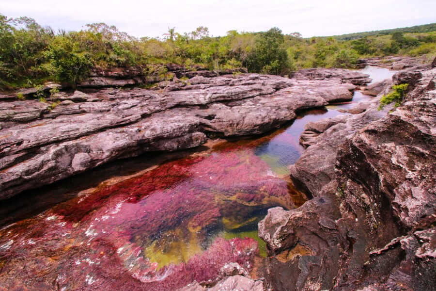 Caño Cristales Trip From Bogotá 3 Days - Trip Overview