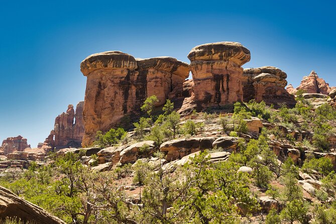 Canyonlands Full Day Private Tour and Hike Review - Overview of Canyonlands Tour