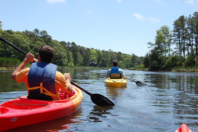 Cape Cod Kayak Rentals in Popponesset Bay Mashpee - Overview of Cape Cod Kayak Rentals