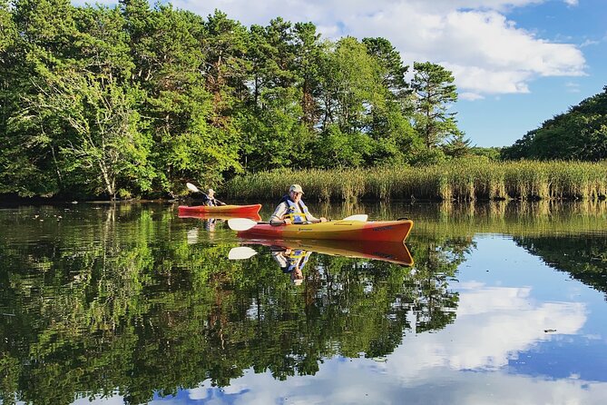 Cape Cod Kayak Rentals Review - Overview of Cape Cod Kayak Rentals