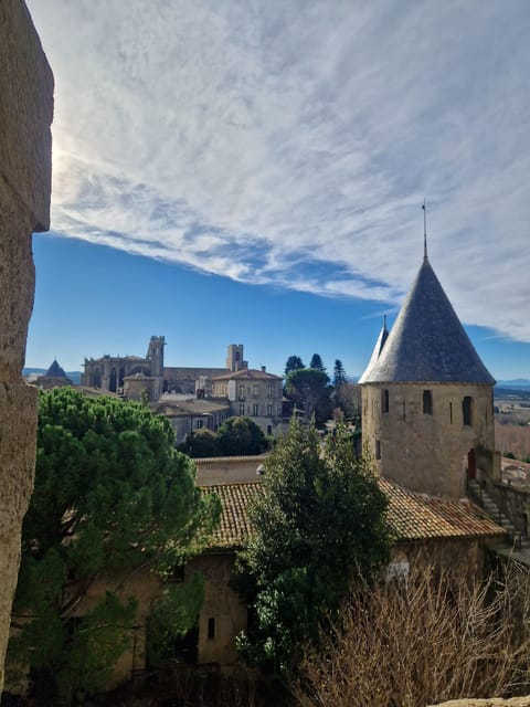 Carcassonne: Viollet-Le-Ducs Medieval City - Activity Overview