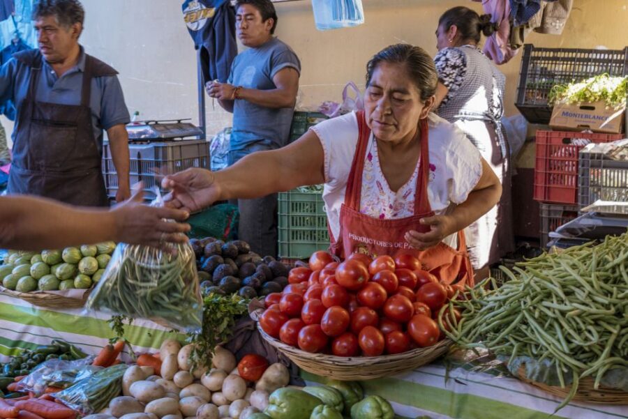 Cartagena: Bazurto Market & La Popa Convent Tour With Lunch - Tour Overview