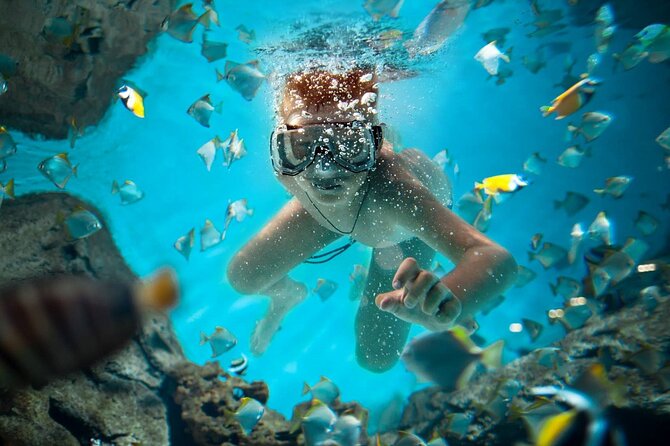 Catalina Island Snorkeling Adventure With Altos De Chavon - Overview of the Adventure