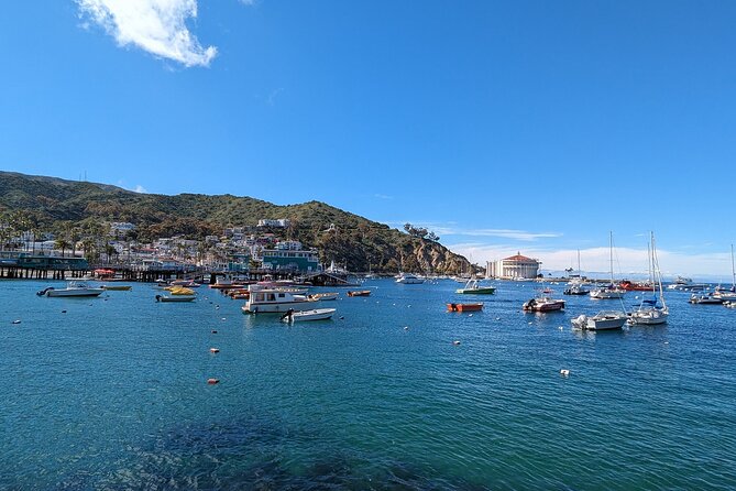 Catalina Scavenger Hunt Walking Tour and Game - About the Catalina Scavenger Hunt