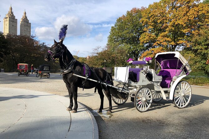 Central Park Horse Carriage Rides Since 2005 - The History of Central Park Horse Carriage Rides