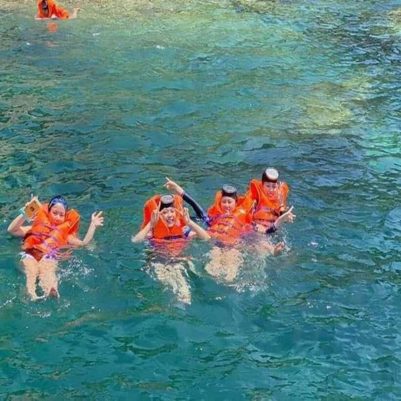Cham Island - Snorkeling Tour From Hoi An/Danang - Tour Overview and Pricing