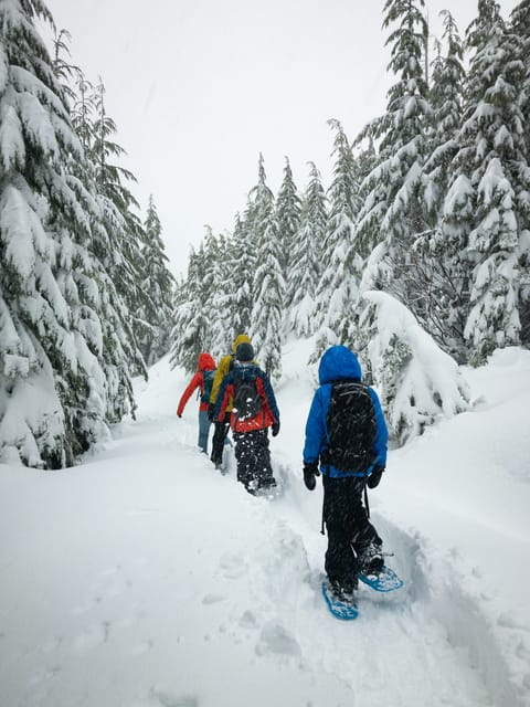 Chamonix: Snowshoeing Under the Stars