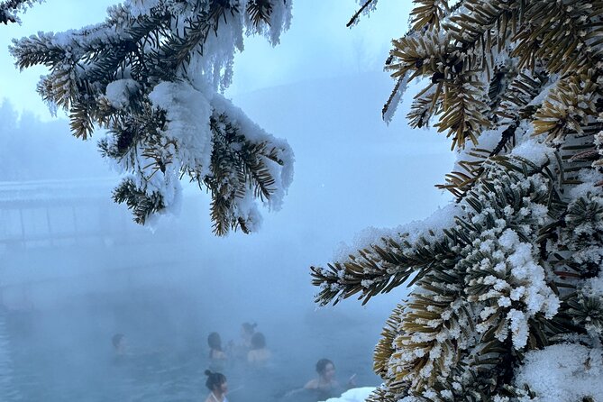 Chena Hot Spring Day Tour - Included Amenities