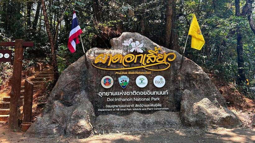 Chiang Mai: Doi Inthanon National Park and Pha Dok Siew Trek