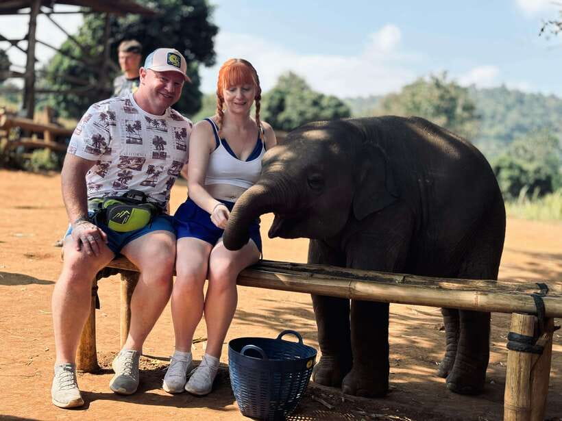 Chiang Mai: Elephant Sanctuary Feeding Program Half-Day Tour