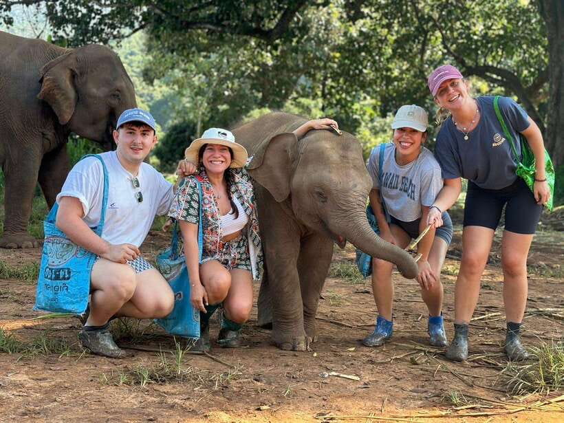 Chiang Mai: Elephant Sanctuary, Waterfall & Bamboo Rafting