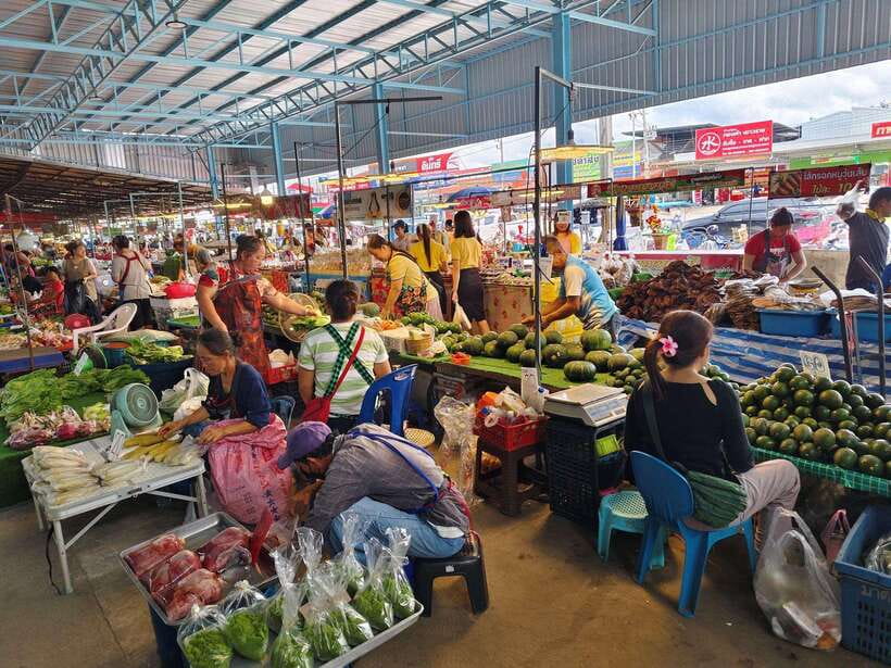 Chiang Mai: Elephants, Sticky Waterfalls, Market and Temple - Tour Overview and Pricing