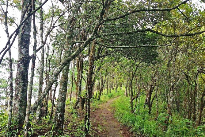 Chiang Mai – Exclusive Trek to Doi Suthep
