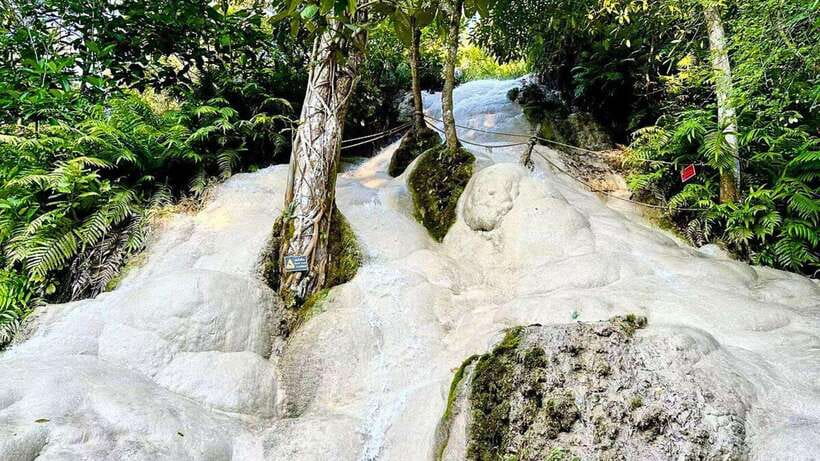 Chiang Mai: Sticky Waterfall, Chet Si Fountain Park Transfer - Bua Tong Waterfalls - A Sticky Delight
