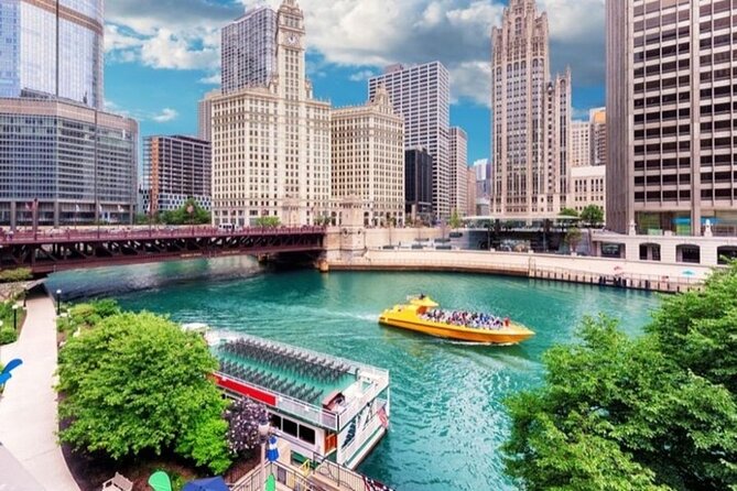 Chicago Highlights Private Walking Tour With a Guide - Overview of the Chicago Highlights Private Walking Tour