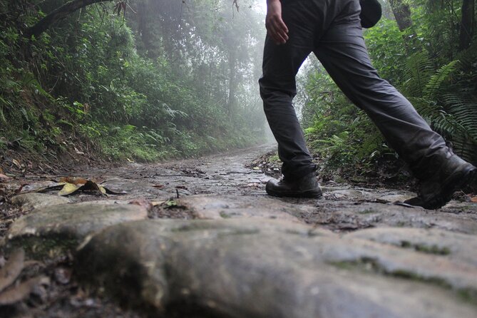 Chicaque Cloud Forest Hike - Experience and Highlights