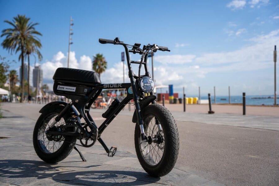 City Highlight Tour on a Luxury (electrical) Fatbike - Itinerary Highlights