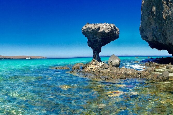 City Tour La Paz, Balandra Beach, and the Magic Town of Todos Santos