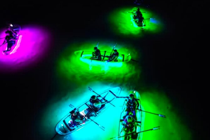 Clear Kayak Jupiter Glow Night Tour With Guide